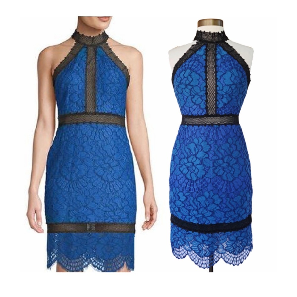 Alexis Julianna Royal Blue Black Lace Halter Midi Dress Size M Cocktail Wedding